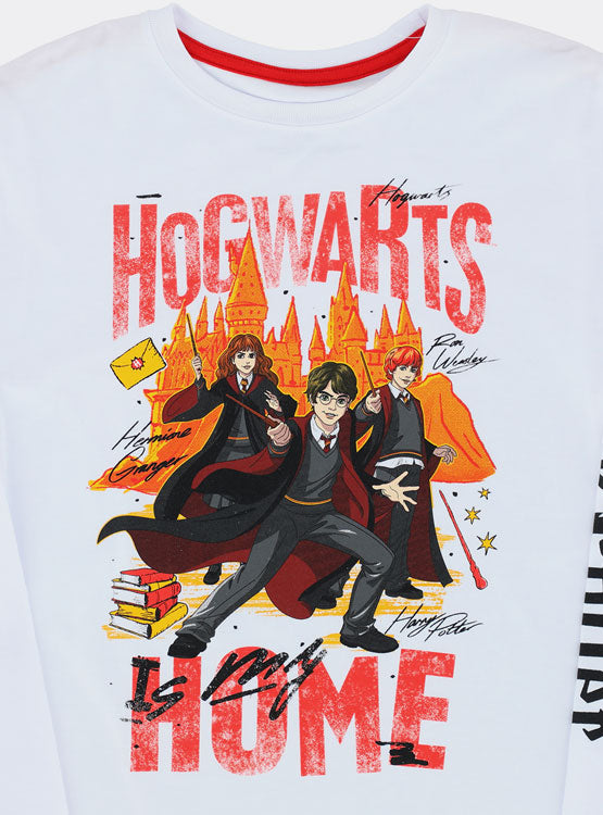 Polera Hogwarts Harry Potter - Talla 14