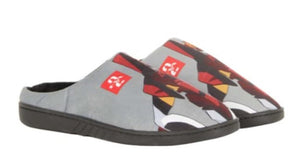 Pantufla Evangelion - Numero 41/42