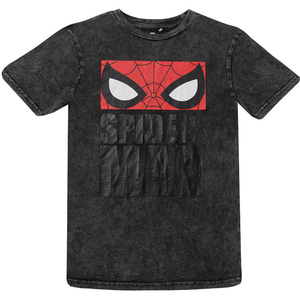Polera Spiderman - Talla 14